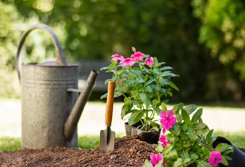 Gardening & terrace greenery — brochure feature